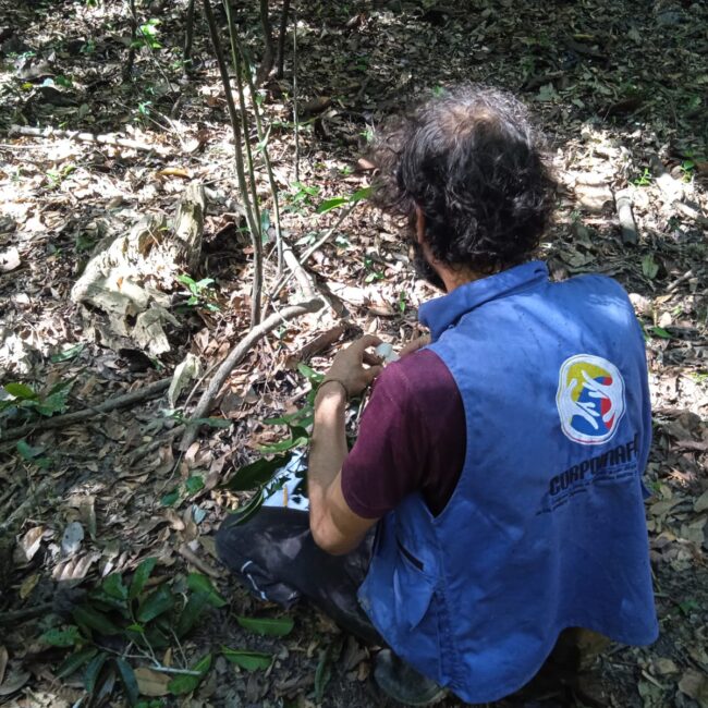 e531e223 f060 4991 bbd6 8010b815070a